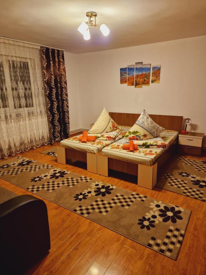 Pensiunea Adriana Vadu Izei Exterior foto
